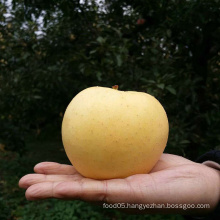 Chinese Golden Delicious Apple